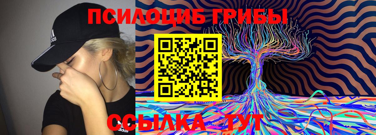 хочу   Псилоцибиновые грибы Psilocybe  Псилоцибиновые грибы MAGIC MUSHROOMS  Вход с VPN  Новокузнецк 