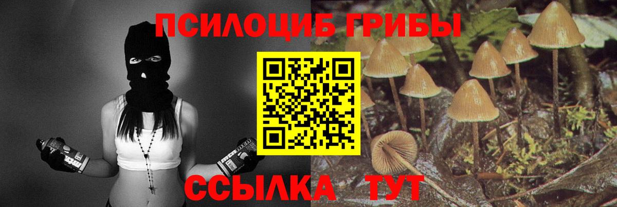 Псилоцибиновые грибы MAGIC MUSHROOMS Новокузнецк